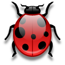 cocci